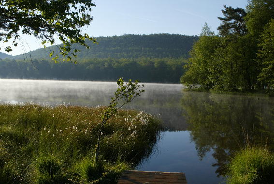 HANAU BRUME